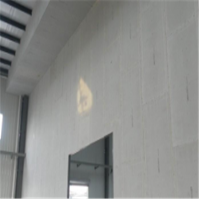陇川宁波ALC板|EPS加气板隔墙与混凝土整浇联接的实验研讨